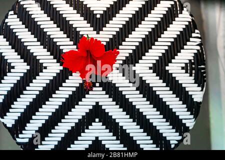 Black and white chair with red tropical flower. Relaxing in the exotic holiday resort. White and Black artificial rattan wicker background. Stock Photo