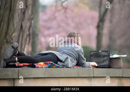 Dresden, Germany. 19th Mar, 2020. A woman lies on a wall on the banks of the Elbe and works on a laptop. On 20 March 2020 is the calendrical beginning of spring. Credit: Sebastian Kahnert/dpa-Zentralbild/dpa/Alamy Live News Stock Photo