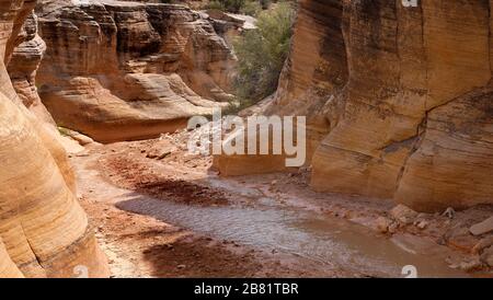 Willis Creek Slot Canyon in the Grand Staircase, Escalante..  A hiker friendly slot canyon in Utah formed from Navajo sandstone. Stock Photo