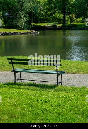 Empty bench with a view of a lake. Stock Photo