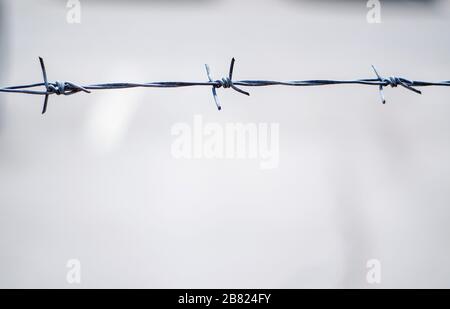 gray barbed wire gray barbed wire Stock Photo