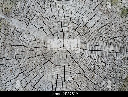 Cracked wood texture. Wood horizontal background Stock Photo