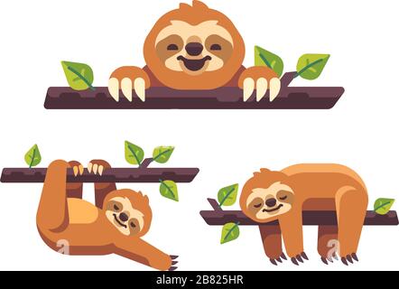 Set of three cute sloths on tree branches flat illustration Stock Vector