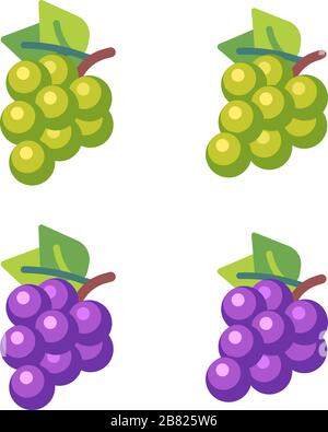 Set of four bunches of grapes. Fruit flat icons Stock Vector