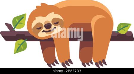 Cute sloth sleeping on a tree branch flat illustration Stock Vector