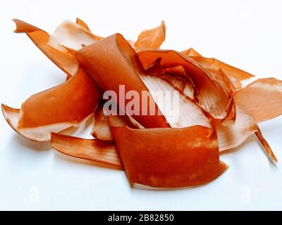 A picture of rinds Stock Photo