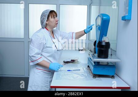 Nurse standing in front of a table with scale holding containers with blood for weighing Stock Photo