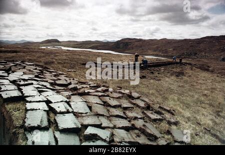 Men cutting peat on a stretch of land in the Outer Hebrides, Scotland. Peat cutting was a traditional method of gathering fuel for the winter in the sparsely-populated areas on Scotland's west coast and islands. The peat was dried and used in fires and ovens. Stock Photo