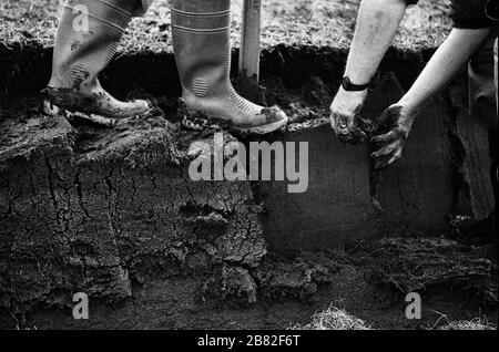 Men cutting peat on a stretch of land on the island of Lewis in the Outer Hebrides, Scotland. Peat cutting was a traditional method of gathering fuel for the winter in the sparsely-populated areas on Scotland's west coast and islands. The peat was dried and used in fires and ovens. Stock Photo