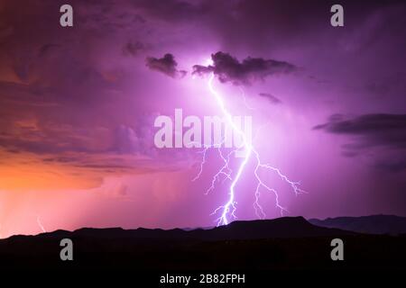 Monsoon in Sonora Desert Stock Photo