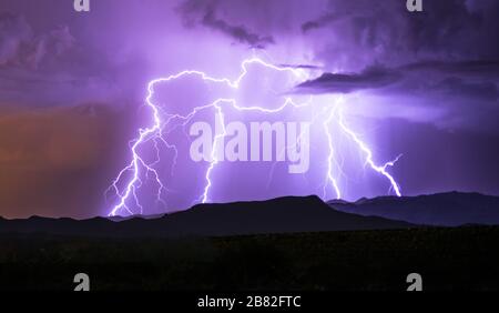 Monsoon in Sonora Desert Stock Photo