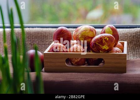 Easter eggs are coloured by ancient onion husk method with various natural patterns lying by window in sunshine on beige burlap next to the sprouted g Stock Photo