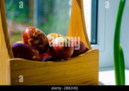 Easter eggs are coloured by the ancient onion husk method with various natural patterns in box by window in sunshine on beige burlap next to sprouted Stock Photo