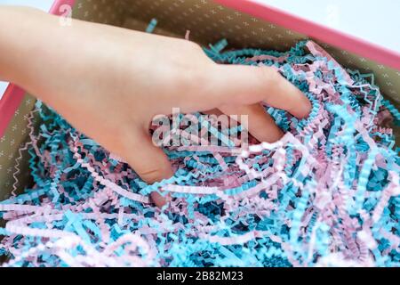 Gift paper shavings. Finely chop the colored tissue paper. Hand touches and research. Stock Photo