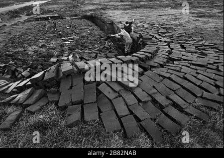 Two men cutting peat on a stretch of land at Loch Portan on the island of North Uist in the Outer Hebrides, Scotland. Peat cutting was a traditional method of gathering fuel for the winter in the sparsely-populated areas on Scotland's west coast and islands. The peat was dried and used in fires and ovens. Stock Photo