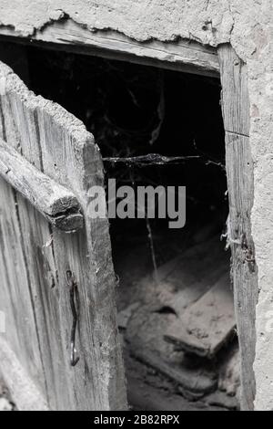 Slightly opened old weathered wooden door and spider web on a darkness background. Scaring background Stock Photo