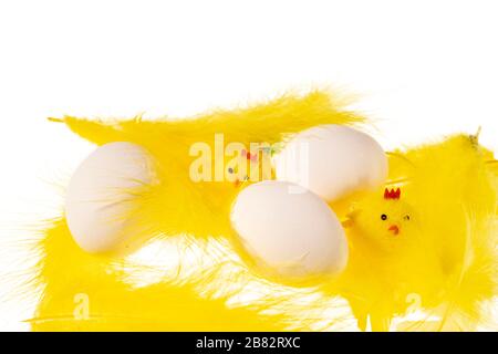Close up view of white eggs and yellow feathers and chick figures isolated on white  background. Easter concept Stock Photo