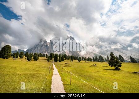 Hiking trail at the Gschnagenhardt Alm, cloud-covered Geisler peaks, Geisler group with Sass Rigais, Villnoess valley, Dolomites, South Tyrol, Italy Stock Photo