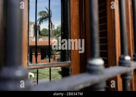 House and palm tree on window reflection Stock Photo