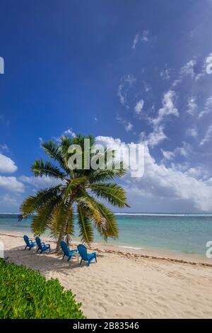 Beach chairs on tropical island, Grand Cayman Stock Photo