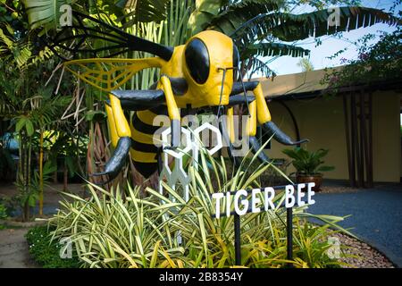 Big Bee - Tiger Bee Honey Farm Phuket, Thailand Stock Photo - Alamy