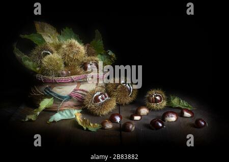 Chestnuts with shell in a wicker basket on wooden table. Stock Photo