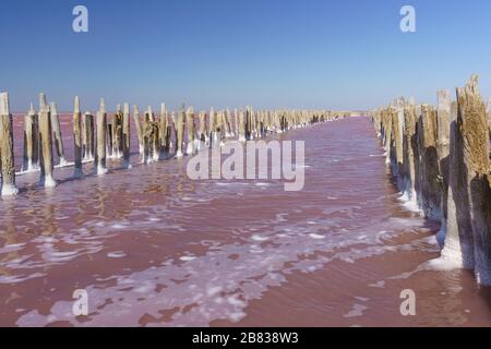 The surface of the pink lake Sasyk Sivash in the Western part of the Crimean Peninsula, Yevpatoria. A light breeze is blowing Stock Photo