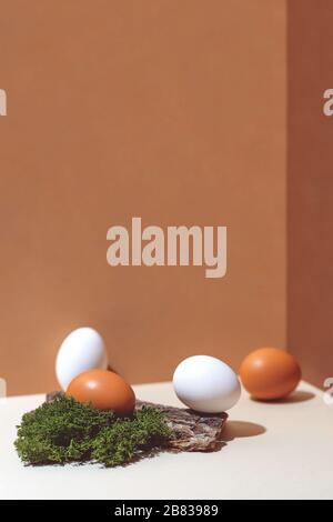 Four multi-colored eggs and natural materials moss and wood. Easter concept. Stock Photo