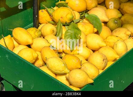 Fresh lemons on sale in a farmer's market Stock Photo