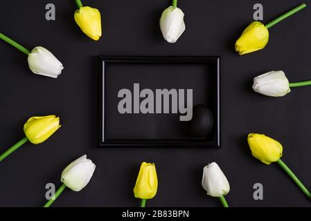 Congratulation Easter card from fresh tulips flowers and frame with painted black egg on a black background. Stock Photo