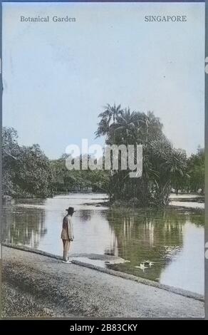 Engraved postcard of a man wearing a suit and hat standing by a pond at the Singapore Botanic Gardens, published by G.R, 1910. Lambert and Co. From the New York Public Library. Note: Image has been digitally colorized using a modern process. Colors may not be period-accurate. () Stock Photo