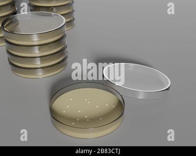 Petri dish opened with colonies and several plates stacked beside. 3D design. Laboratory and research concept. Stock Photo