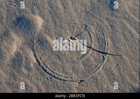 Circular geometric sand pattern and shadow made by wind and beach grass Stock Photo