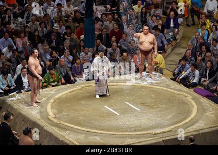 Sumo wrestlers preparing to fight in the wrestling ring at 2013 September Grand Sumo Tournament at the Ryogoku Kokugikan, Tokyo, Japan Stock Photo