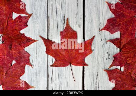 Canadian flag made of red maple leaves over a weathered white wood background Stock Photo