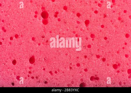 Sponge texture background. Stock Photo