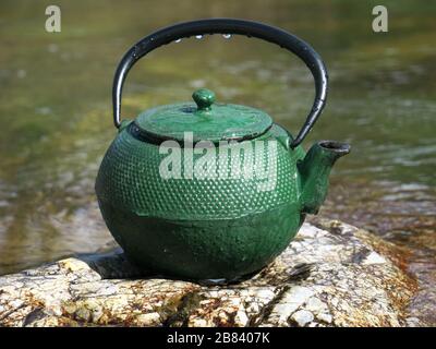 Green iron cast teapot in front of the river