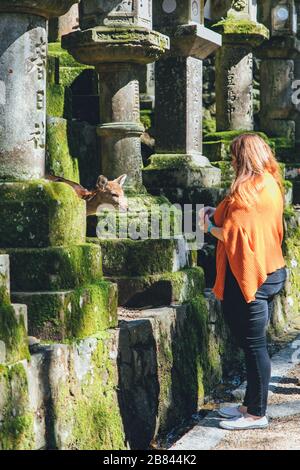 Woman feeding a deer at a shrine garden Stock Photo