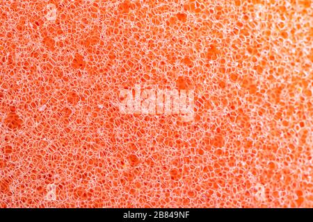 orange sponge detail texture, sponge texture background. Closeup, macro Stock Photo