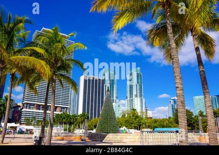 Miami, USA - November 30, 2019: People resting at Bayfront Park with palm trees at Miami Stock Photo