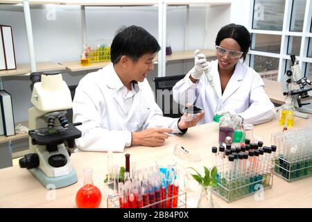 Two scientists are working in laboratory. Young female researcher and her senior supervisor are doing investigations on laboratory equipment. Stock Photo
