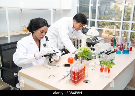Two scientists are working in laboratory. Young female researcher and her senior supervisor are doing investigations on laboratory equipment. Stock Photo