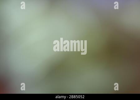 colorful background soft multi color style abstract blurred pink red yellow gold green, rainbow bright smooth pastel color gradient, watercolor spot c Stock Photo