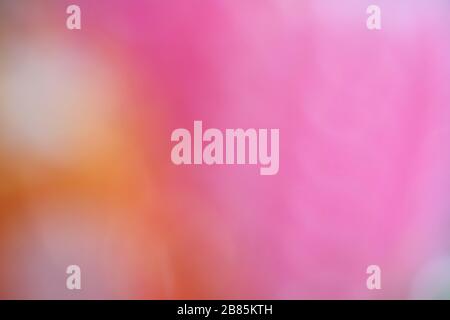 colorful background soft multi color style abstract blurred pink red yellow gold green, rainbow bright smooth pastel color gradient, watercolor spot c Stock Photo