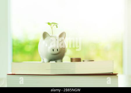 little tree growing on saving piggy bank on book in saving money for education concept Stock Photo