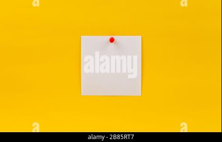 Empty blank white paper note pinned red pin on a yellow background Stock Photo