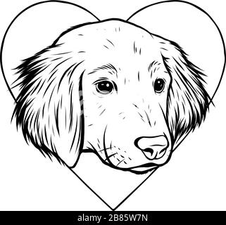 Vector Illustration Portrait of Labrador Retriever Puppy. Stock Vector