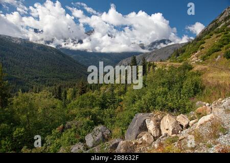 Panoramic view from the White Pass train, Skagway, Alaska Stock Photo