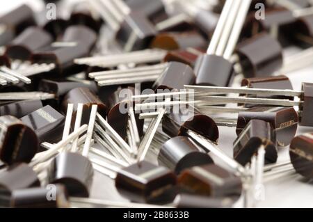 Various electronic components, TO-92 case transistors close-up on white background. Stock Photo