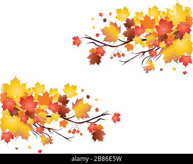 Vector square, black frame . White background black Border set Stock Vector